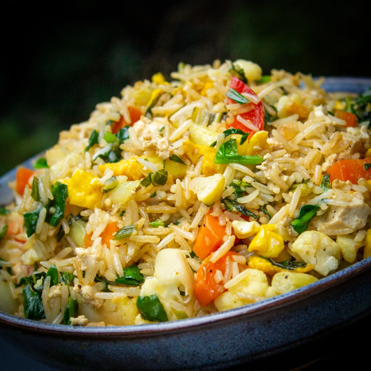 EGG  FRIED  RICE