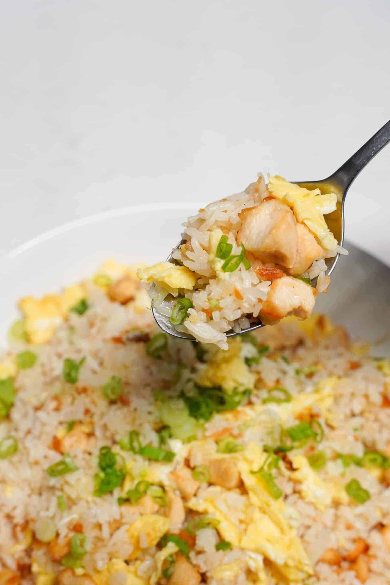 FISH  FRIED  RICE
